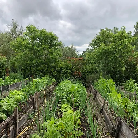 Agriturismo Suziesyard - Bed Con Cucina לינה וארוחת בוקר