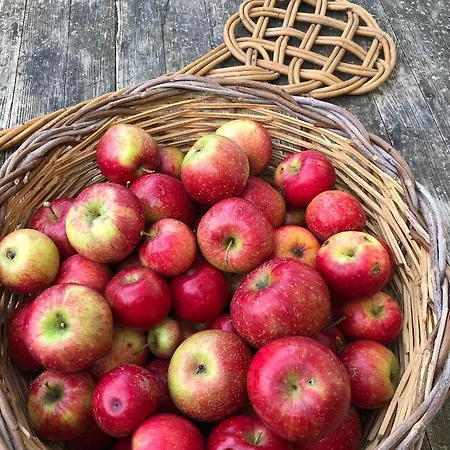 Agriturismo Suziesyard - Bed Con Cucina צ'טונה